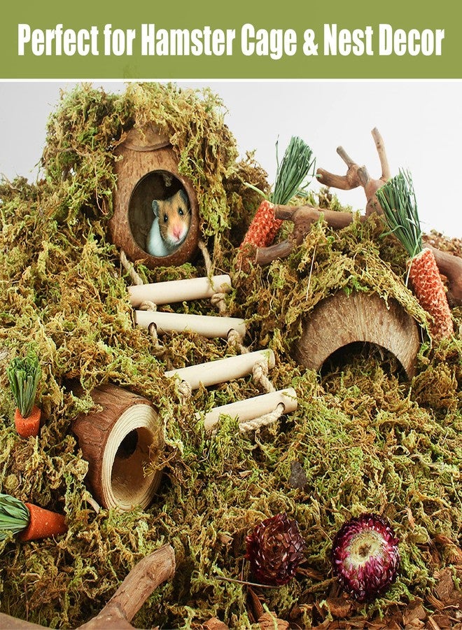 Riare 25QT Natural Hamster Moss Bedding Nesting-Soft Forest Moss Hamster Habitat Reptile Moss for Dwarf Syrian Hamsters, Mices, Gerbils, Reptiles, Small Pets (1.3LBS) - Image 3